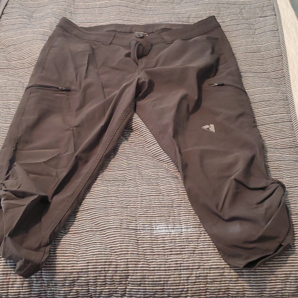Eddie Bauer Ascent dri fit style cargo pants